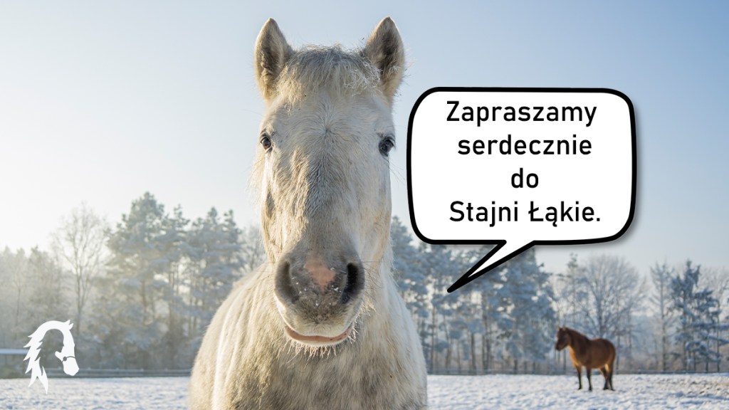 FERIE W STAJNI&nbsp;ŁĄKIE